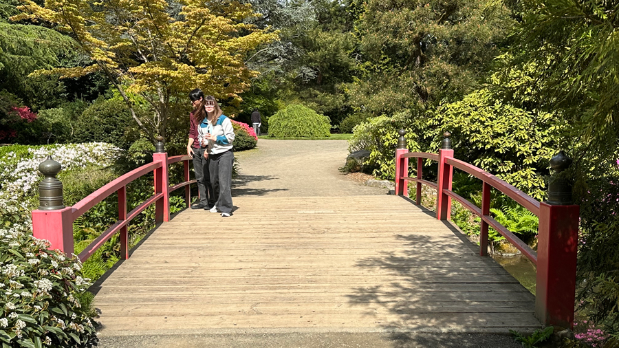 people crossing the bridge with red rails at Kubota Gardens in Seattle