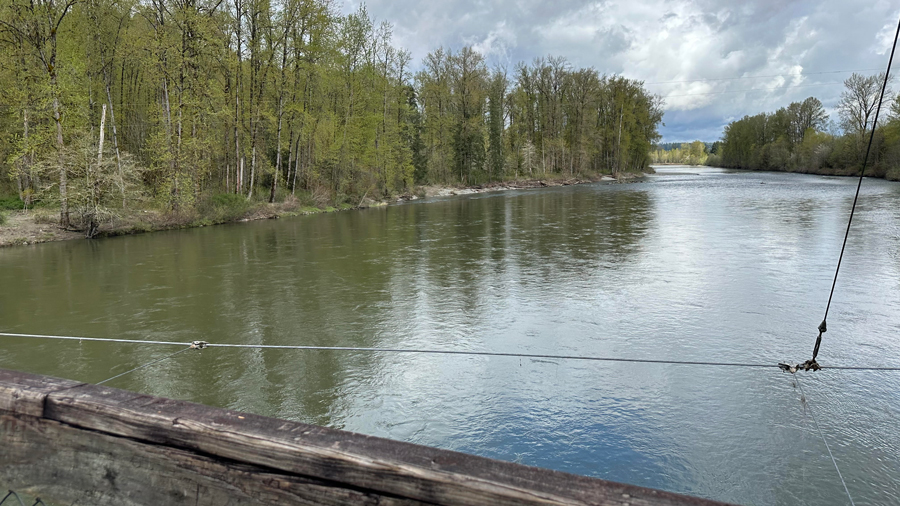 The view of the river from the bridge at John McDonald Tolt River