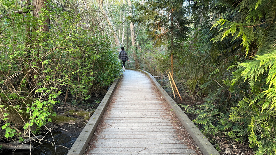 person walking the wetland trail at carkeek park