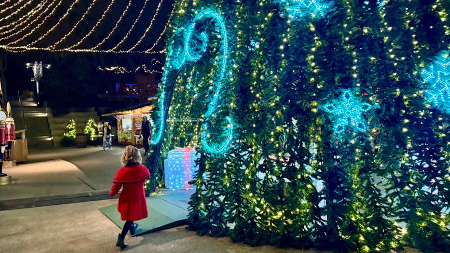 walk-through Christmas tree display in Seattle