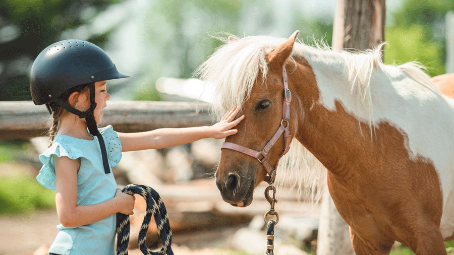 girl petting a horse during a farm stay at a Pacific Northwest ranch