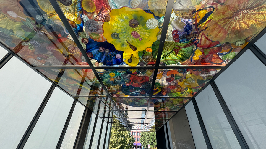 image of the seaform pavilion at chihuly bridge of glass