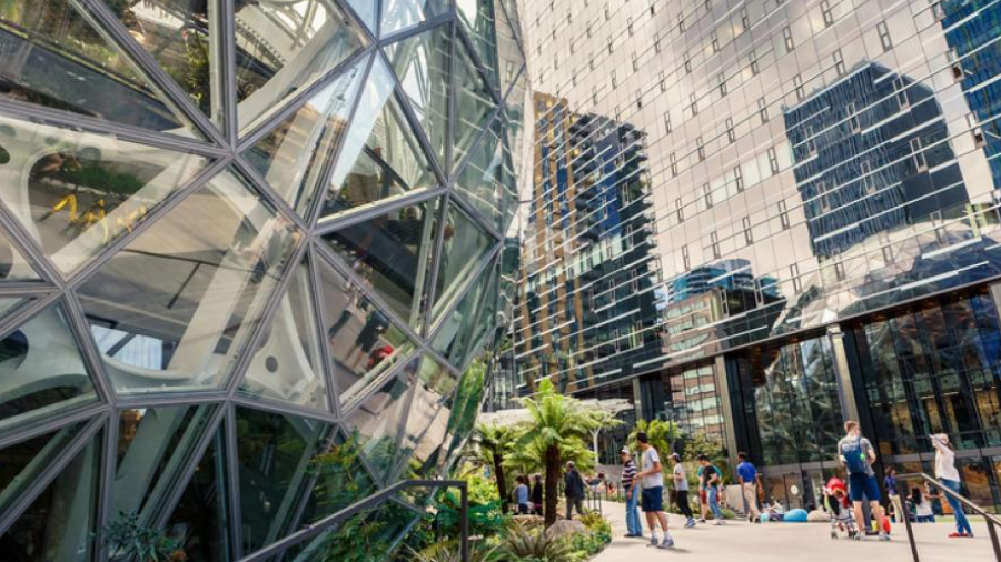 plant wonderland at the spheres