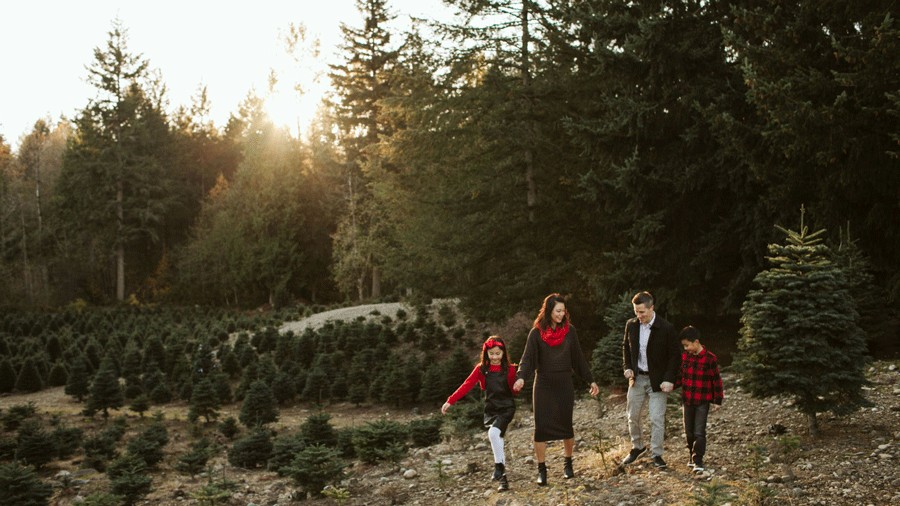 family portrait at Trinity Tree Farm in Issaquah