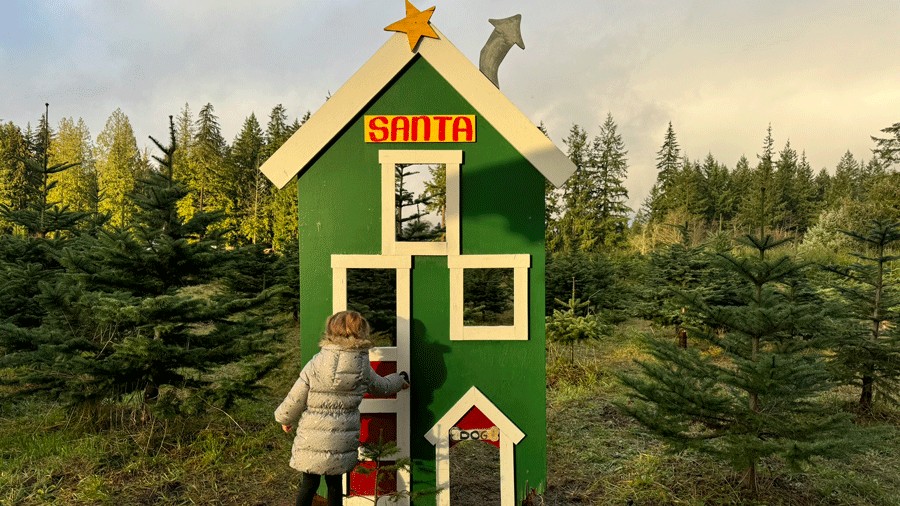 child at a u-cut christmas tree farm in Stanwood exploring the farm and photo op decorations