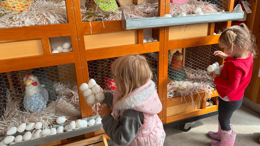 kids collecting eggs at the Farm at Sillyville at the Washington State Fair