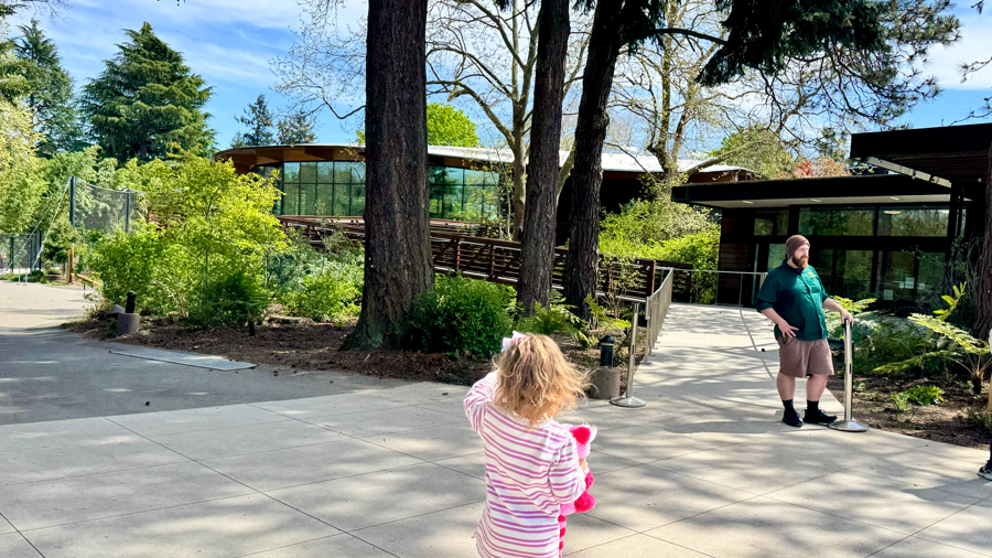 young girl stands at the entrance to the forest trailhead exhibit at woodland park zoo
