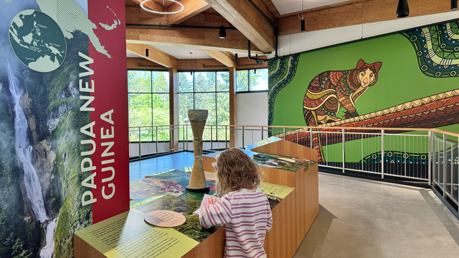 young girl interacting with the exhibit at woodland park zoo with a bright green mural of a tree kangaroo