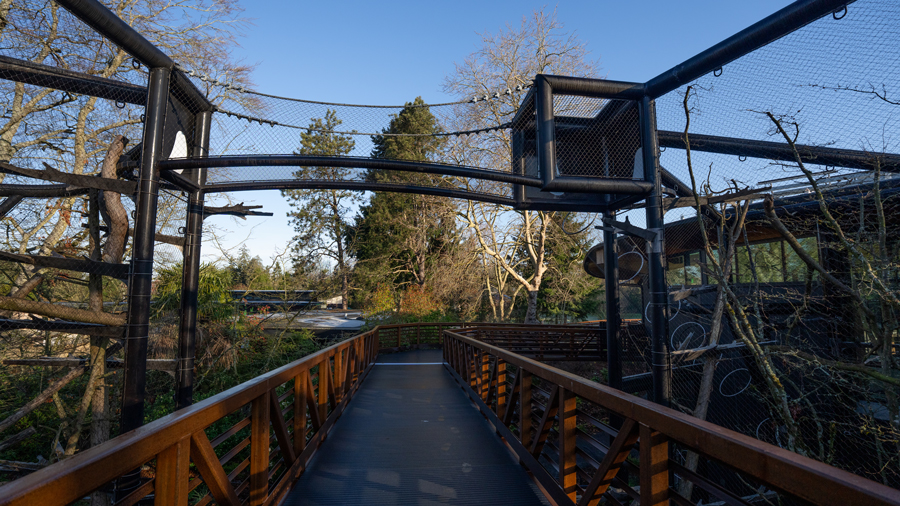 steel mesh walkway over the canopy path at woodland park zoo