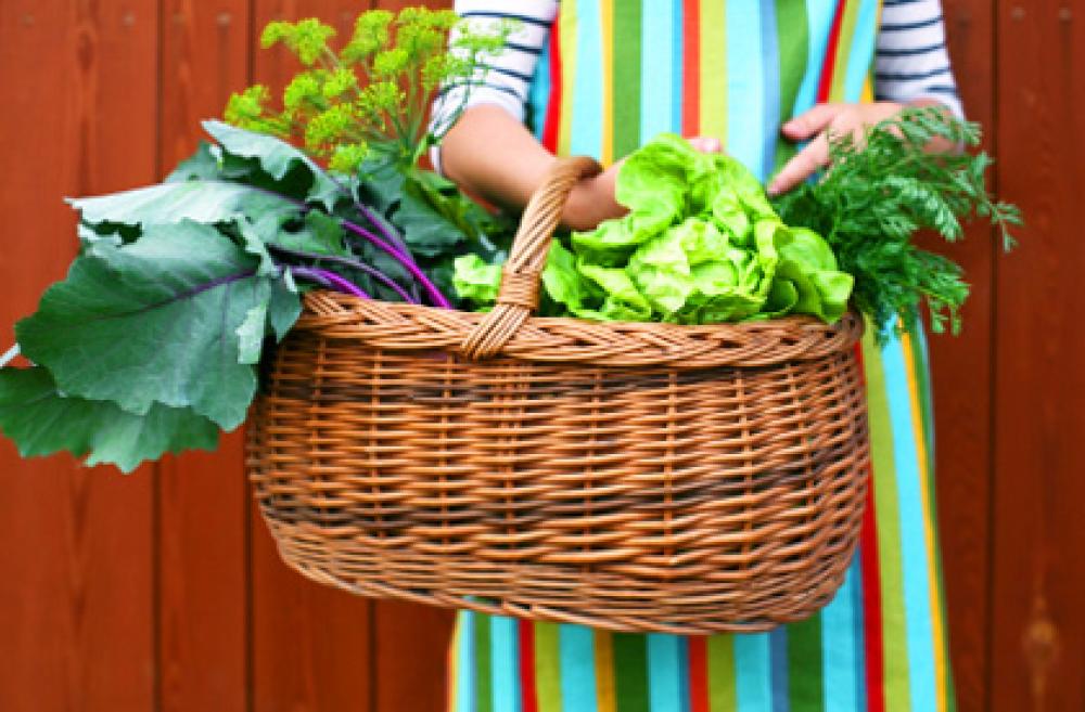 Basket of garden items