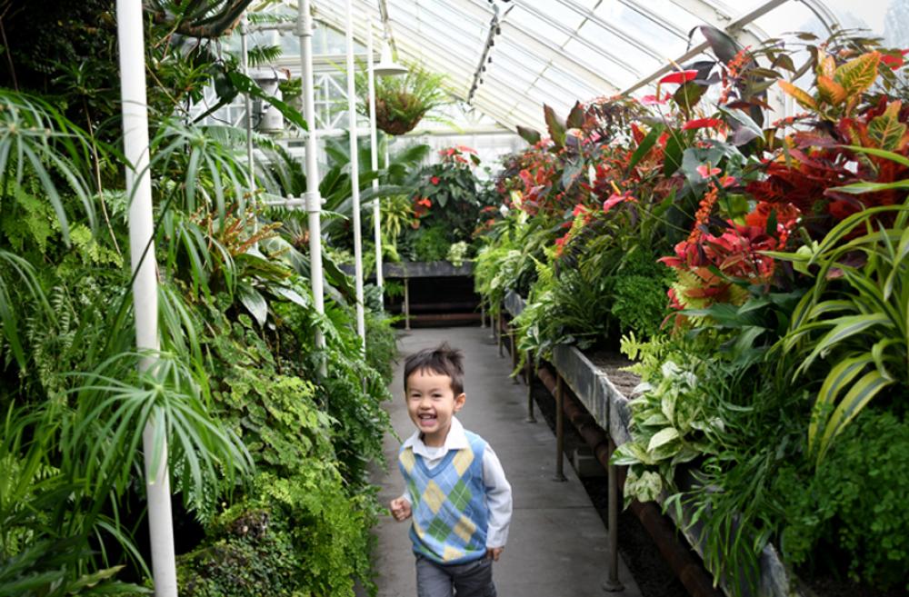 volunteer park conservatory kid in fern room