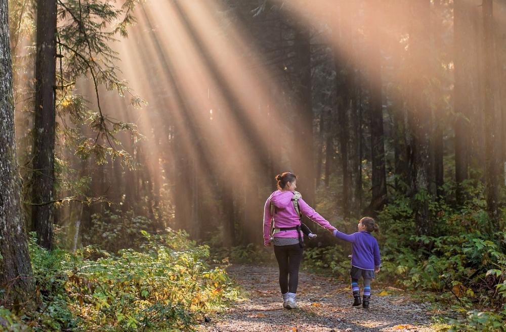 Best-family-hikes-no-drive-in-town-nature-walks-seattle-eastside-kids-families