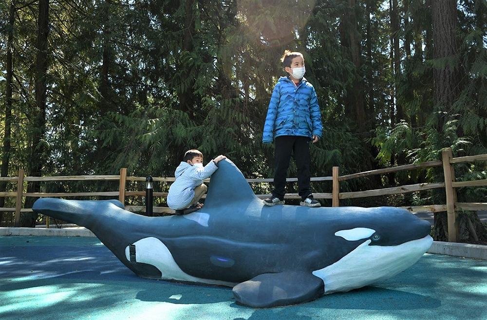 Young boys standing on Orca sculpture at new Suquamish Shores Natural Play Area playground in Suquamish Washington near gravesite of Chief Seattle
