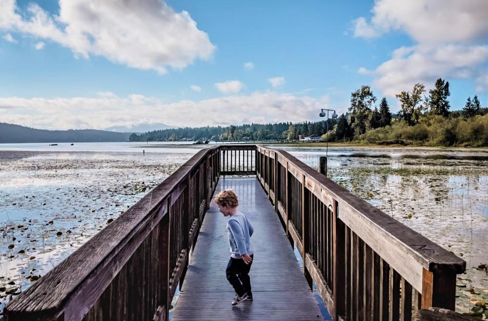 Boy on a boardwalk over Sammamish River Marymoor Park Audubon Bird loop best biggest parks around Seattle and Puget Sound