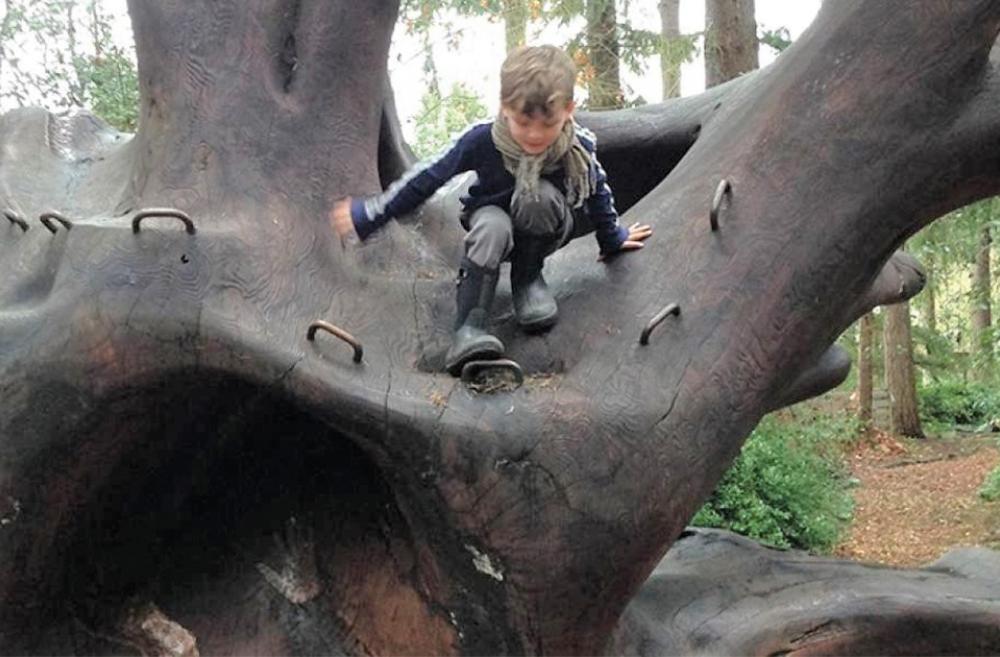 Boy climbing the “wood wave” in the Kruckeberg Botanic Garden