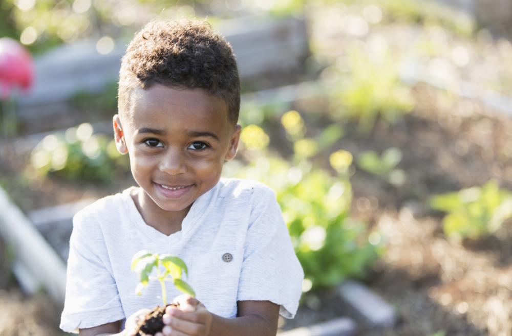 Young boy smiling and holding a young plant