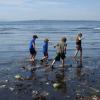 Free and cheap summer fun around Seattle kids exploring low tide
