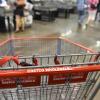 Costco-shopping-cart