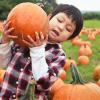 boy holding a pumpkin on his shoulder at a pumpkin patch