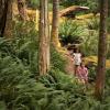 girls running on a trail in the woods seattle northwest hiking summer 2023