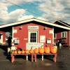 Craven Farm red barn with row of pumpkins in front. Snohomish, Washington, fun fall destination for Seattle families with kids