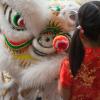 A young Asian girl watches a lion dance at a celebration of Chinese New Year