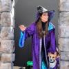 The wizard and Professor Dumbledog, characters in Point Defiance Zoo & Aquarium’s new live animal show.