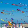 2022 Washington State International Kite Festival: Kites on a blue sky day at the beach