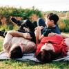 Parents laying on blanket in grass holding up laughing child