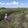 Craft Island kid-friendly skagit county washington hikes for families