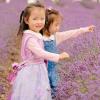 Two girls in a lavender field near Seattle perhaps enjoying the Sequim Lavender Festival