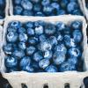 where-to-pick-strawberries-raspberries-blueberries-u-pick-seattle-bellevue-north-sound