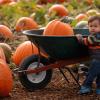 young boy with a pumpkin in a wheelbarrow at a fall festival at Carpinito Brothers Farms, a top 10 weekend event near Seattle for families