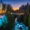 Canyon lights at Capilano Suspension bridge park