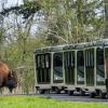 people riding the electric tram at Northwest Trek Wildlife Park in Eatonville
