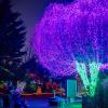 zoolights at Point Defiance Zoo & Aquarium