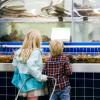 two kids looking at the fresh food for sale at T&T supermarket in Lynnwood