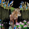young child admires flower lantern under large moose at WildLanterns entrance during 2025 display