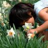 A girl leans over to smell a daffodil in a field.