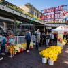 families enjoying Daffodil Day at Pike Place Market in Seattle on a spring weekend
