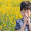 little boy in a field of yellow flowers with spring allergies