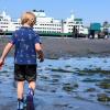 boy exploring the beach with a ferry in the background during a low tide weekend