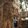 kid playing on NW Trek playground during the weekend