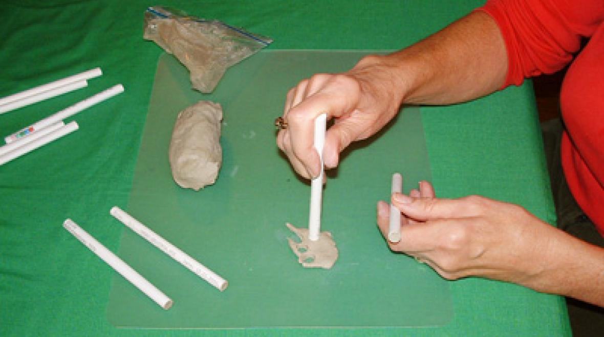 How to Make a Mason Bee Paper Tube | ParentMap