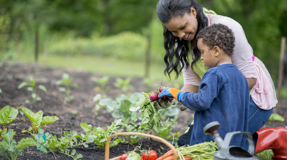 5 Essential Tips for Vegetable Gardening in the Pacific Northwest |  ParentMap