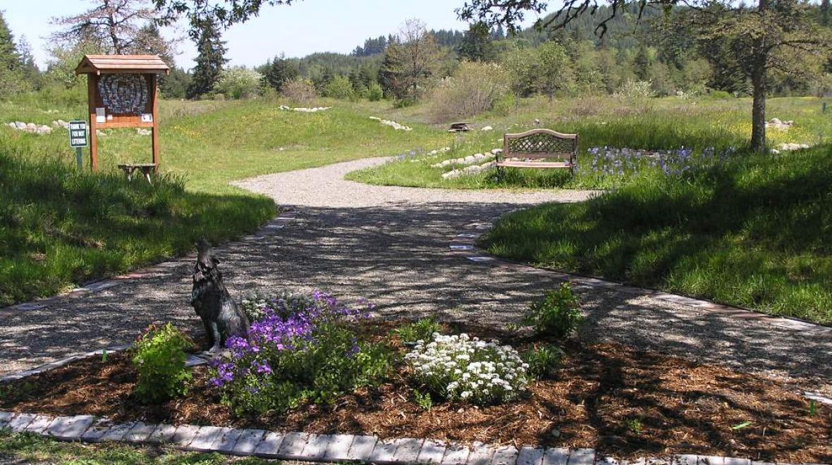 The short trail from the wolf cemetery (pictured) to the grandfather tree is a walk worth taking before or after visiting the wolves. Photo: Wolf Haven International