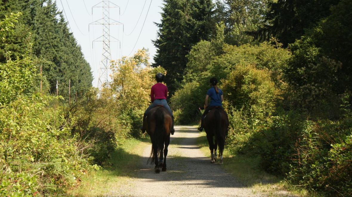Among the best places to walk in Seattle and on the Eastside is Bridle Trails State Park in Kirkland