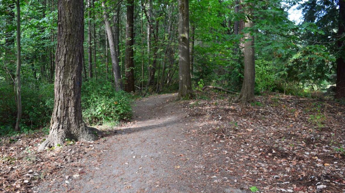 Seward-Park-nature-trails-south-Seattle-in-town-hikes