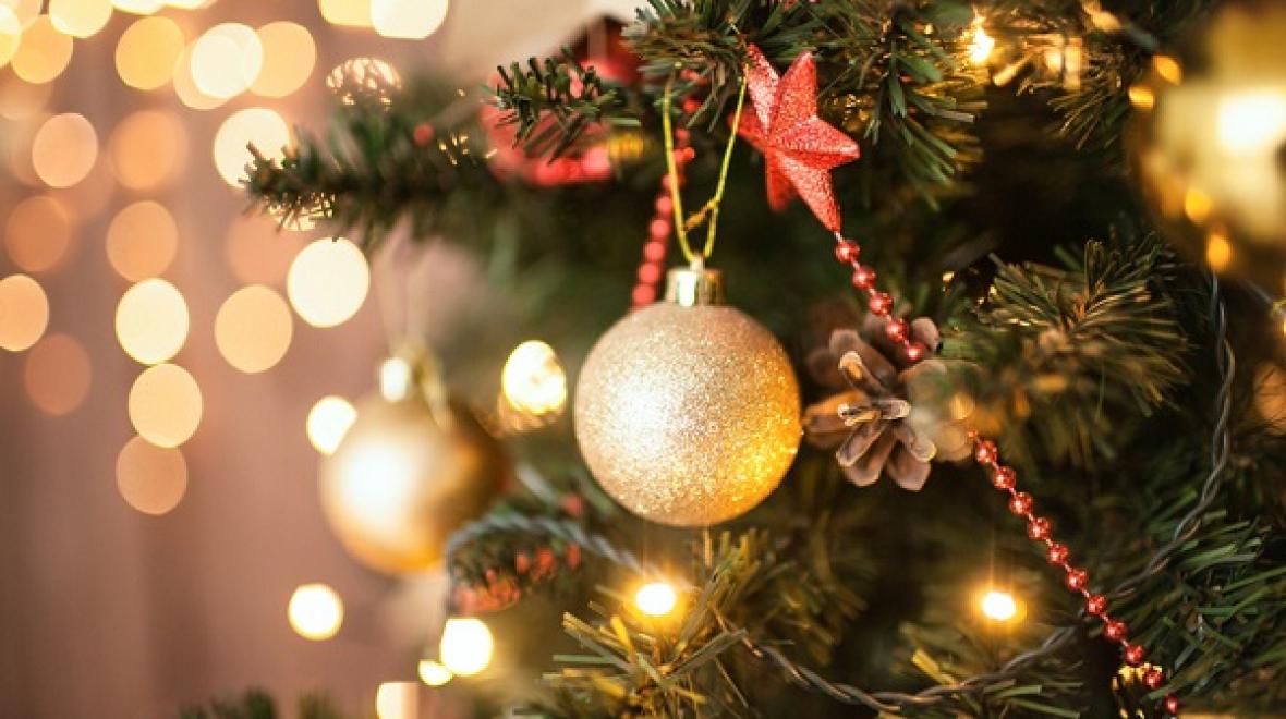 Christmas tree close-up