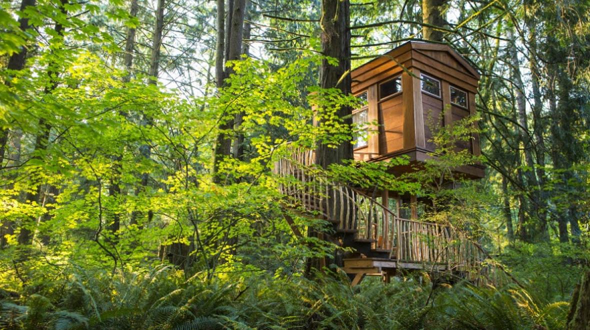 A TreeHouse Point treehouse perches among the trees, fun treehouses and forts for Seattle families to visit